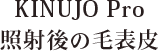 KINUJO Pro照射後の毛表皮